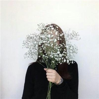 女生手捧满天星头像(精选15张)