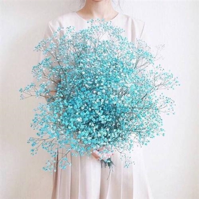 女生手捧满天星头像(精选15张)