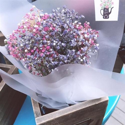 女生手捧满天星头像(精选15张)