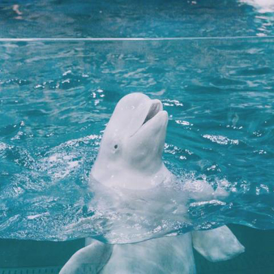 能带来好运气带来财运的微信头像(共18张)