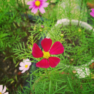 2023最吉利的微信头像(共20张)