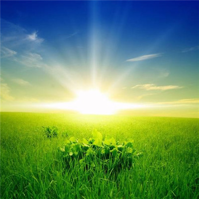 2023最吉利的微信头像(共20张)