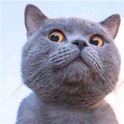 2023最流行洋气头像高清(精选28张)