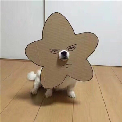 2023最沙雕的头像(精选24张)