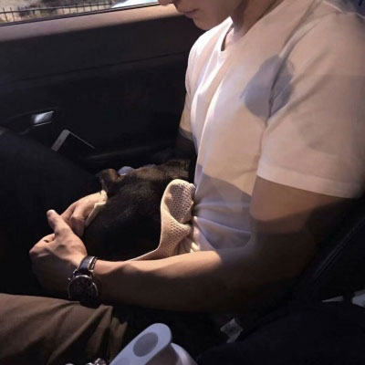 吸引已婚妇女的男人头像(优选18张)