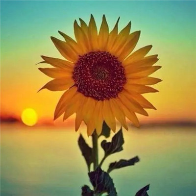 2023年女人招财头像(精选16张)