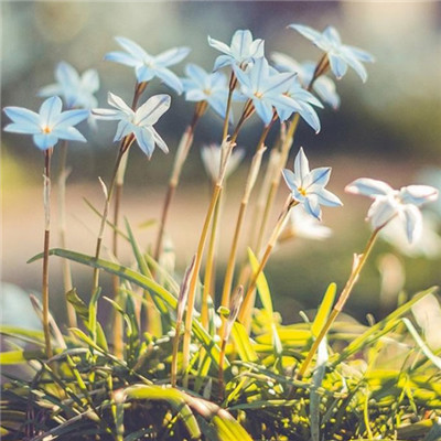 最吉祥最好运的头像(精选18张)