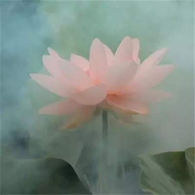 又简单又好看的头像(20张)