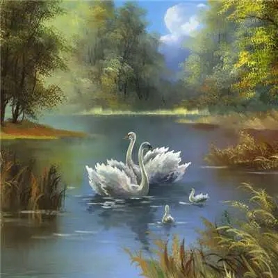 50岁女性微信头像女生简单大方(优选20张)