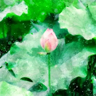 20岁微信头像女生简单大方(精选30张)