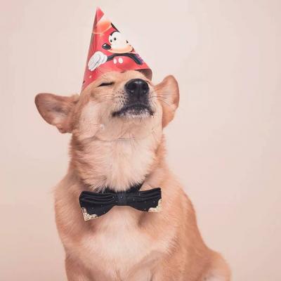 好看的狗狗微信头像(18张)