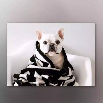 好看的狗狗微信头像(18张)