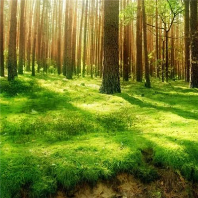 2023适合自己的头像(优选32张)