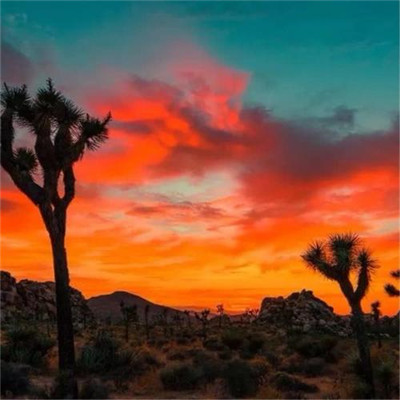 2023适合自己的头像(优选32张)