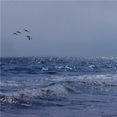 头像图片2023最火爆治愈(优选34张)