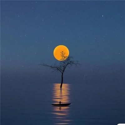 头像图片2023最火爆最好看风景(优选18张)