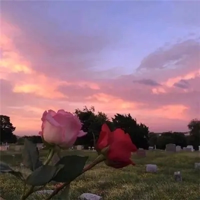 40一45岁女人微信头像风景(共32张)