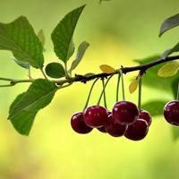 40一45岁女人微信头像风景(共32张)