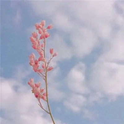 40一45岁女人微信头像风景(共32张)