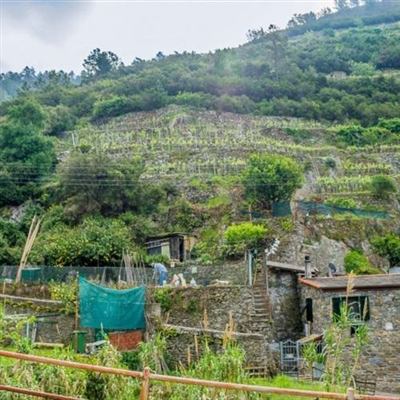 40一45岁女人微信头像风景(共32张)