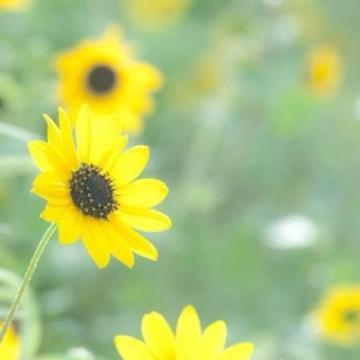 40一45岁女人微信头像风景(共32张)