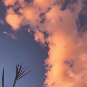 40一45岁女人微信头像风景(共32张)