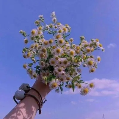 40一45岁气质女人头像(共30张)