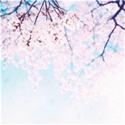 26一40岁女人微信头像风景(精选30张)