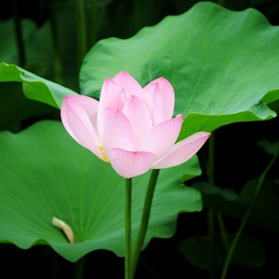 26一40岁女人微信头像风景(精选30张)