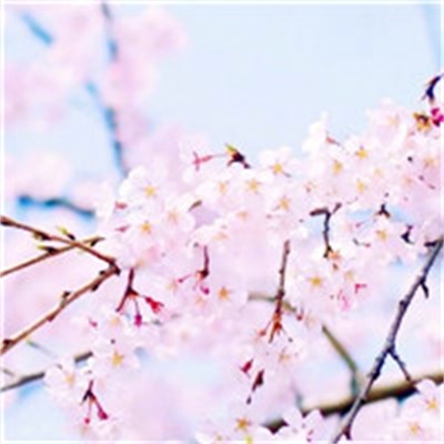 26一40岁女人微信头像风景(精选30张)