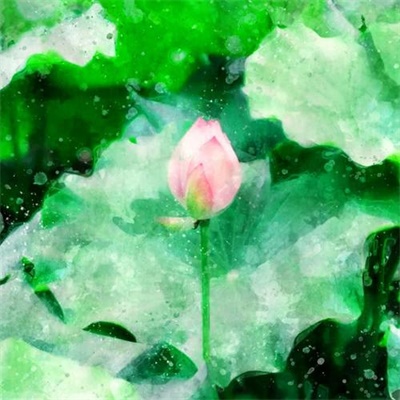 26一40岁女人微信头像风景(精选30张)