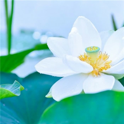 很独特的头像图片(精选18张)