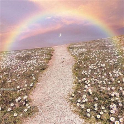 意境有档次的微信头像(优选24张)