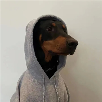 2023最火宠物头像(精选12张)