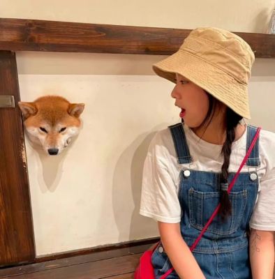 吸引人气质的很高级的女头(22张)