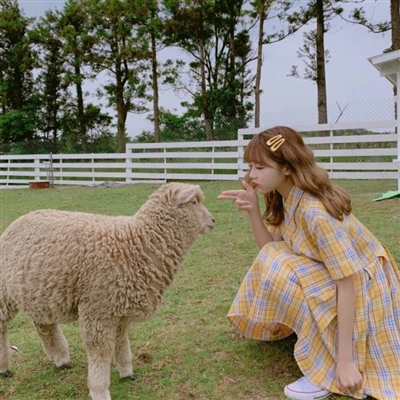 超酷的氛围感女头合集(38张)