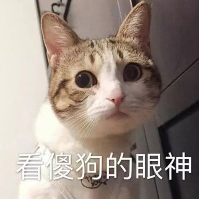 萌萌哒猫咪头像精选(优选18张)