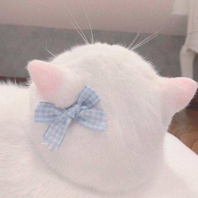 萌萌哒猫咪头像精选(优选18张)