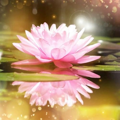 成熟女人味的微信头像图片(共16张)