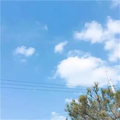 2023最简单的头像(共20张)