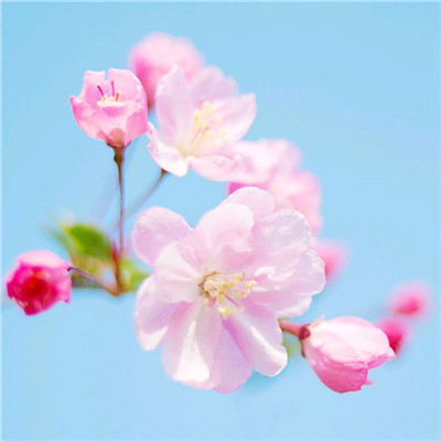 2023年自带好运头像(共18张)