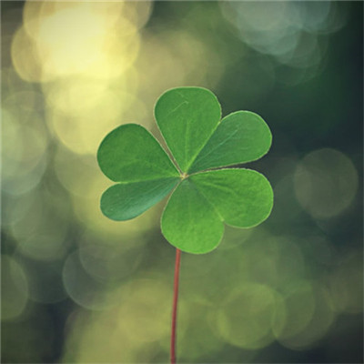 2023年自带好运头像(共18张)