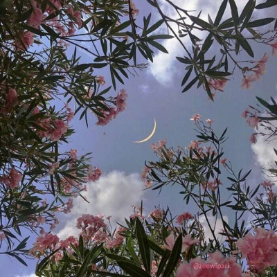 2023年自带好运头像(共18张)