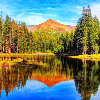 2023寓意好的头像(优选18张)