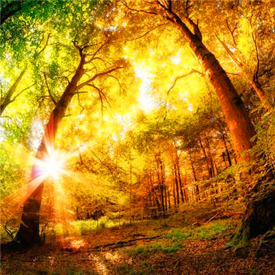 2023寓意好的头像(优选18张)