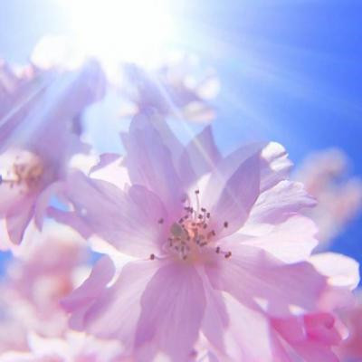 2023适合永久做头像的图片(优选32张)