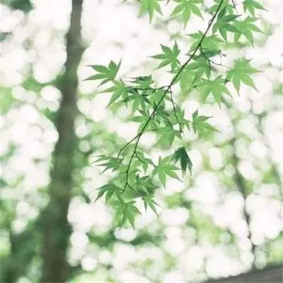 2023最潮最简单的头像(共16张)