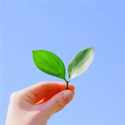 2023最潮最简单的头像(共16张)