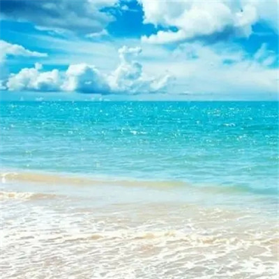 2023最潮最简单的头像(共16张)