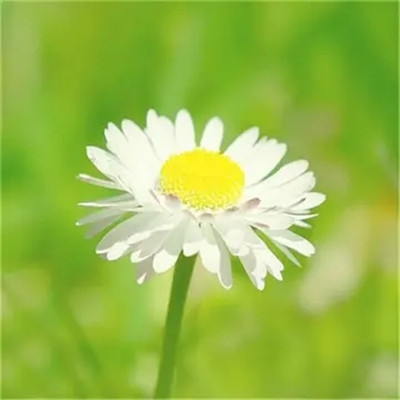 2023最潮最简单的头像(共16张)